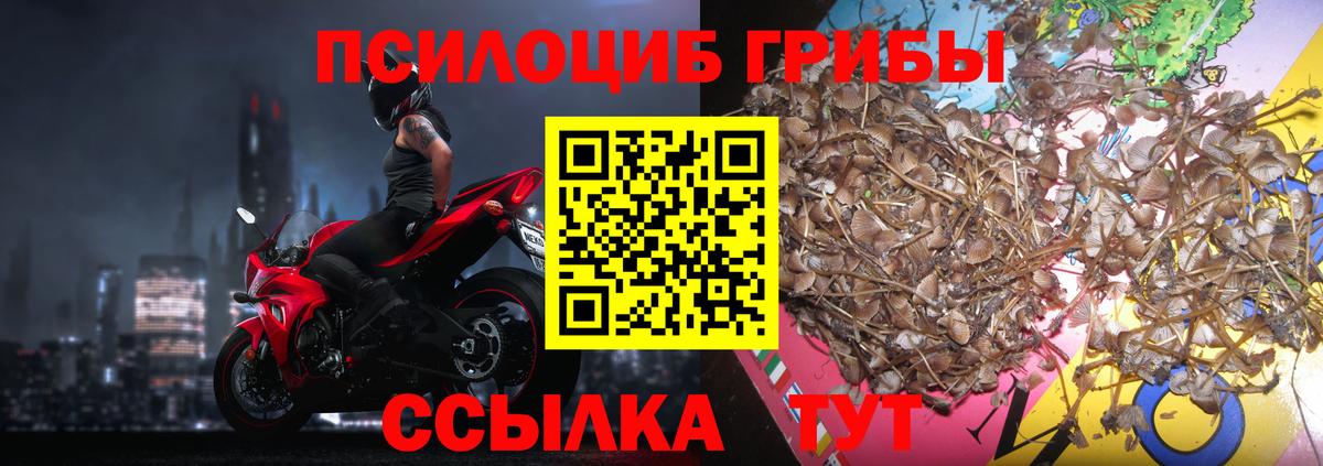 Галлюциногенные грибы ЛСД Кудрово